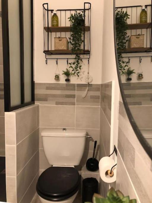 Studio Au Pied De La Cite 카르카손 외부 사진