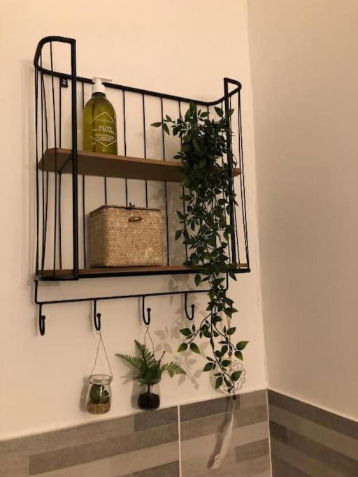 Studio Au Pied De La Cite 카르카손 외부 사진